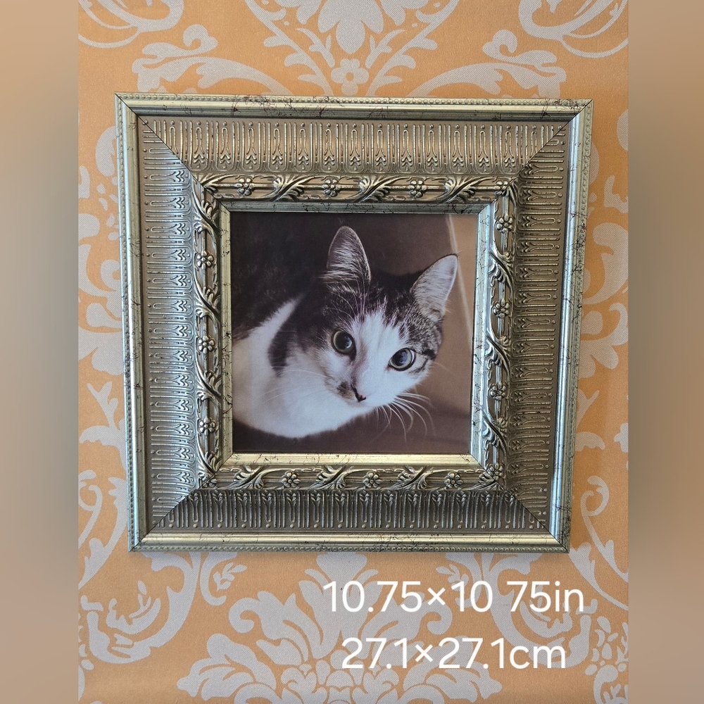 Ornate Faux Silver Picture Frame